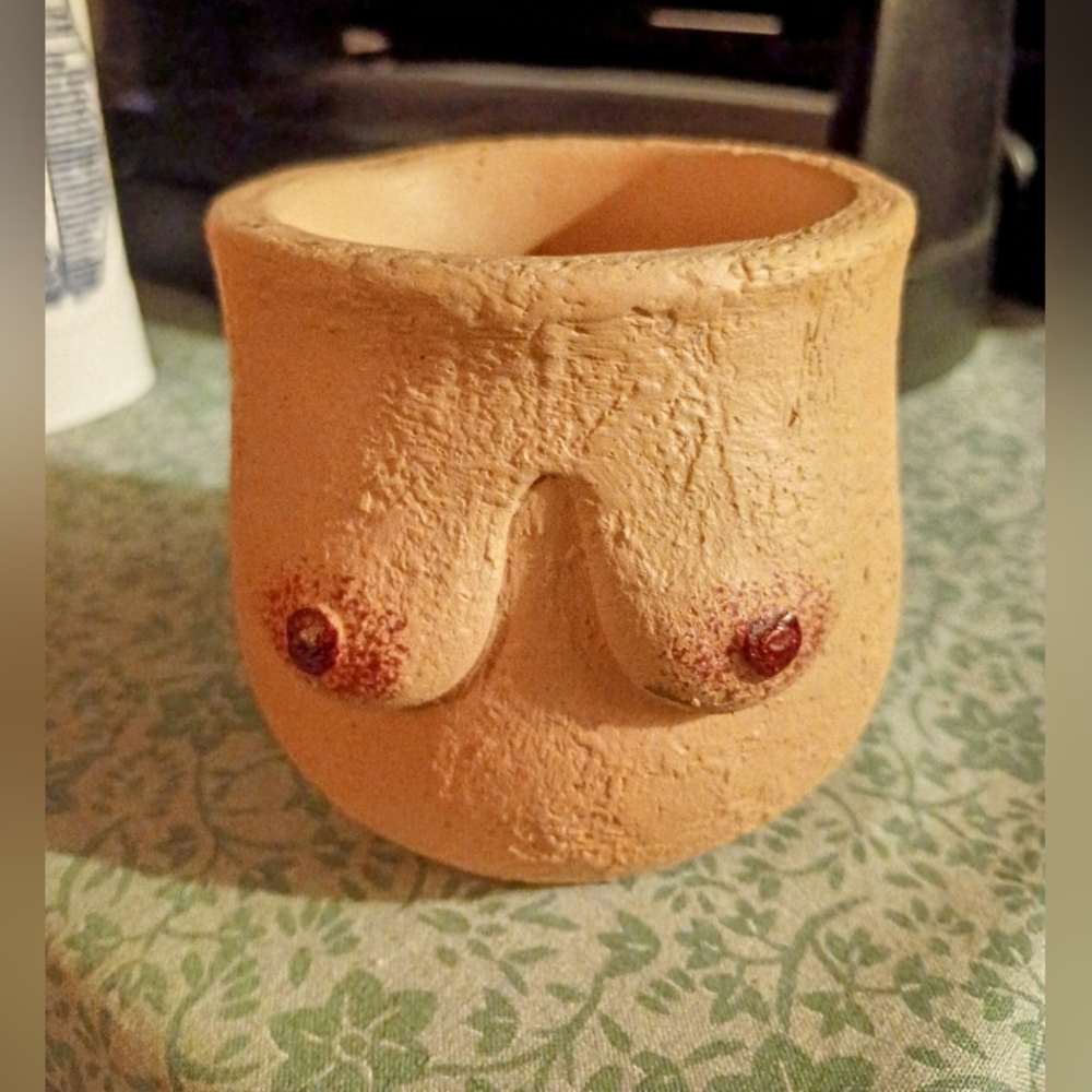 Unique "Boobs" Ceramic Planter